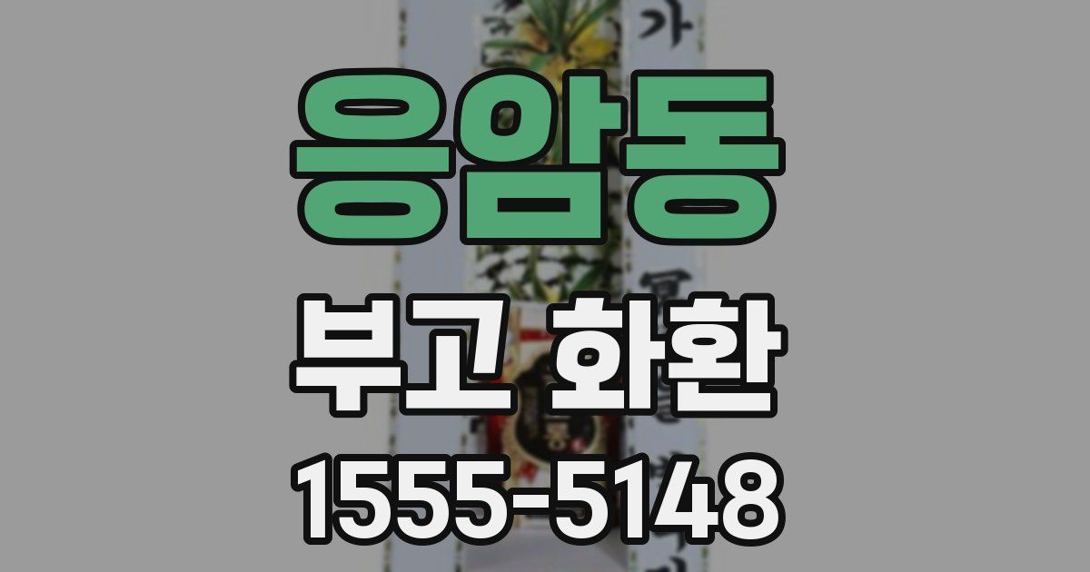 응암동 부고 화환