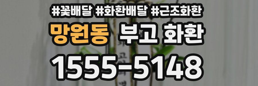 망원동 부고 화환