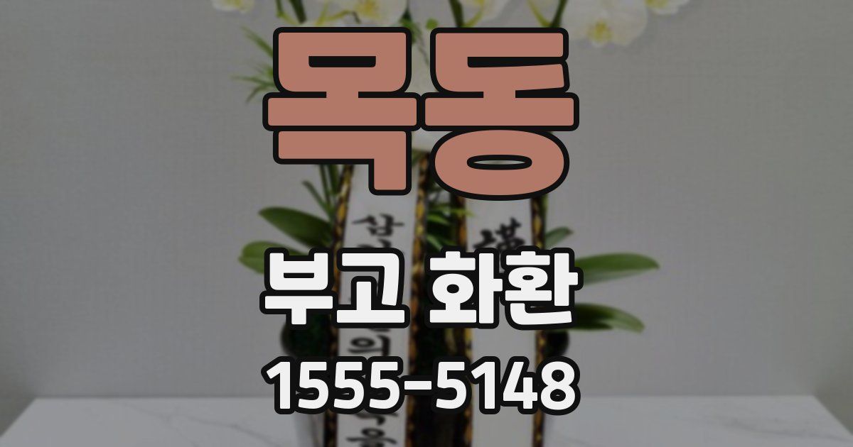 목동 부고 화환
