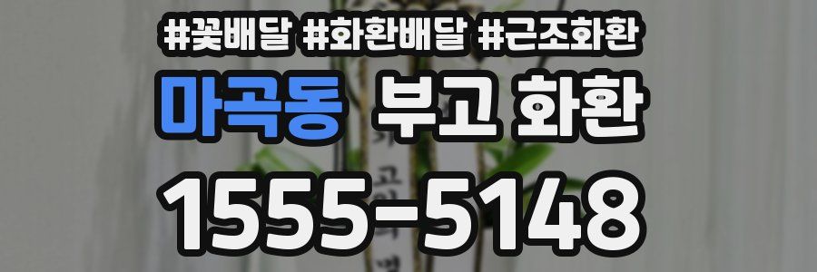 마곡동 부고 화환