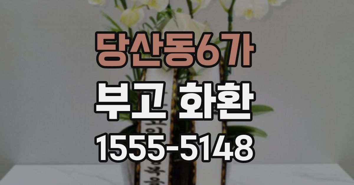 당산동6가 부고 화환