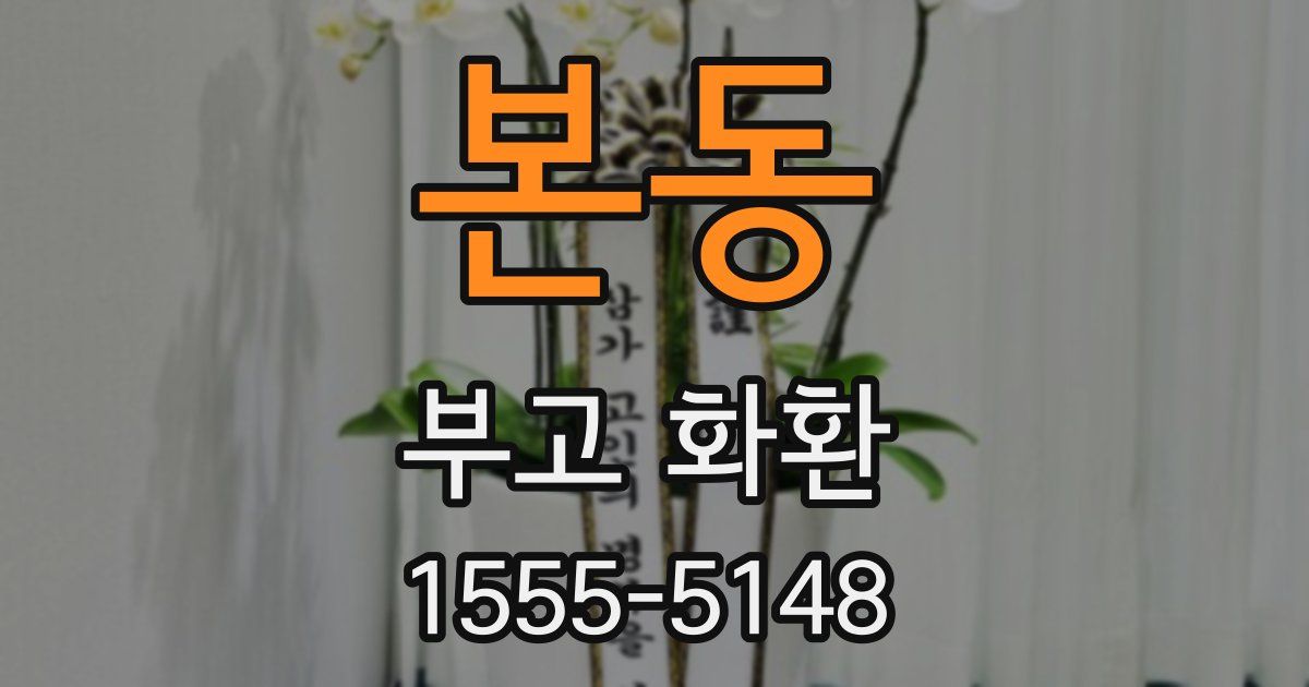 본동 부고 화환