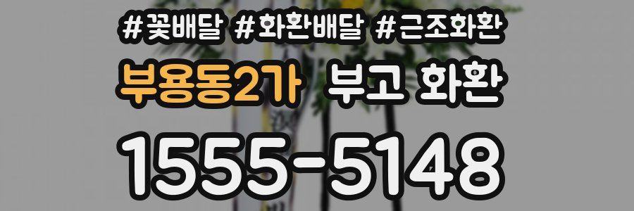 부용동2가 부고 화환
