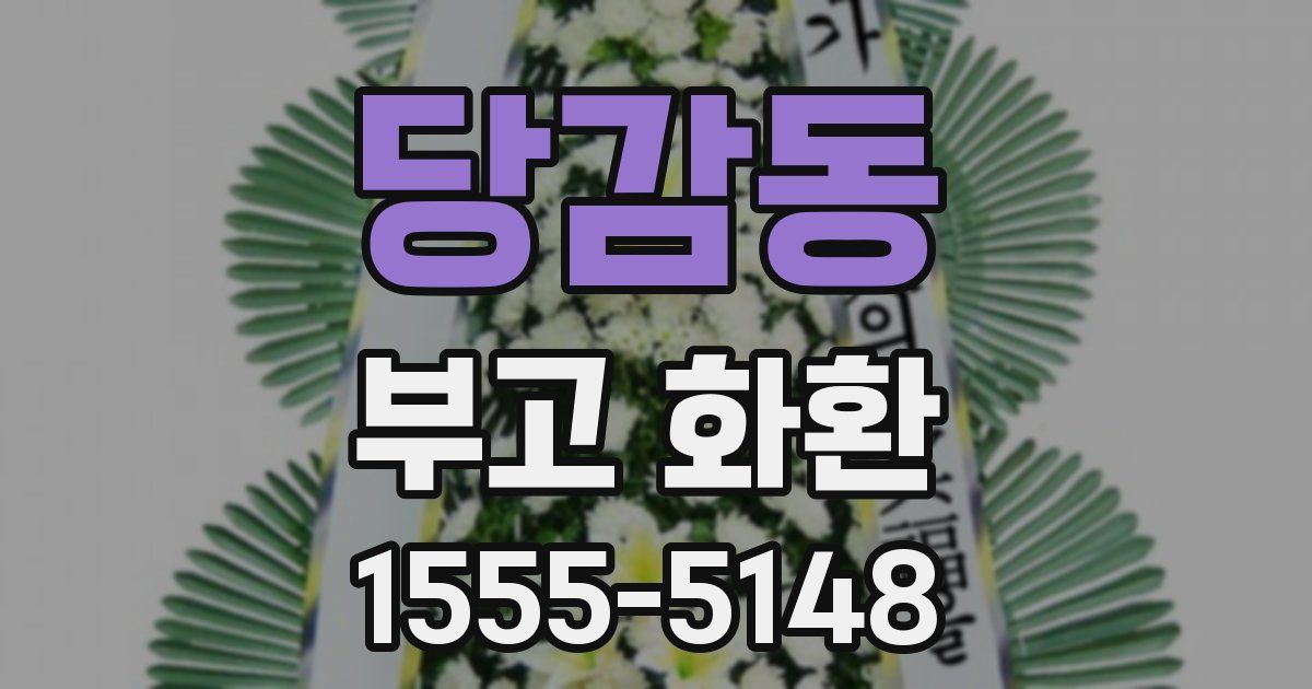 당감동 부고 화환