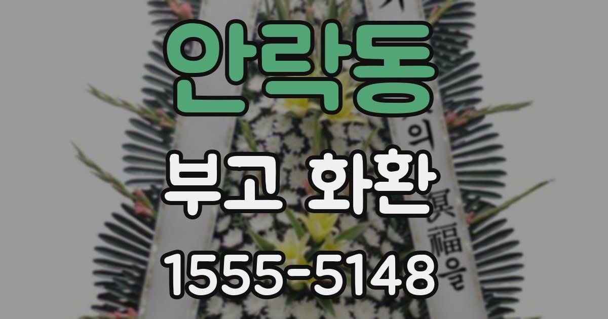 안락동 부고 화환