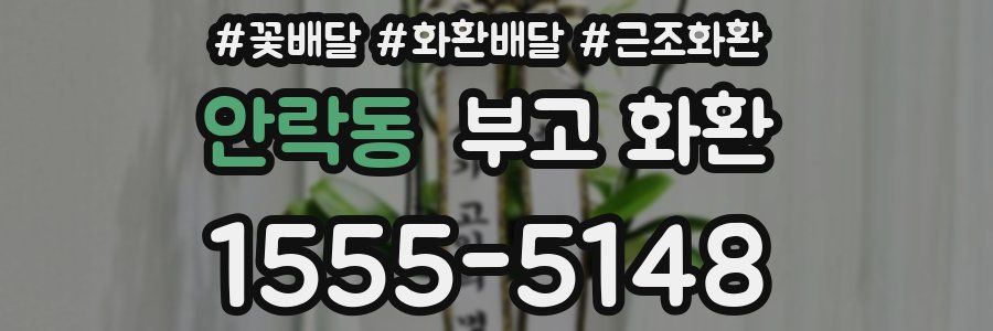 안락동 부고 화환