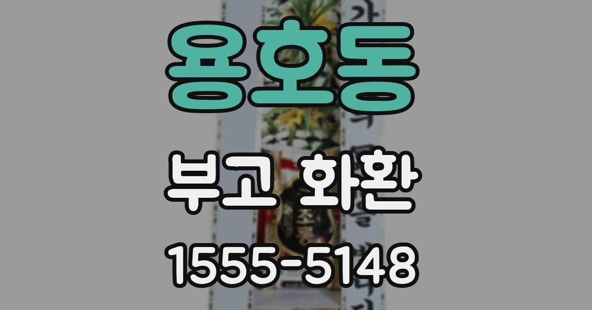 용호동 부고 화환