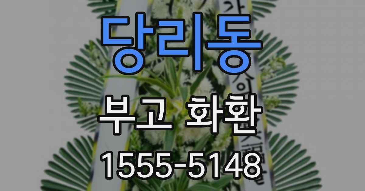 당리동 부고 화환