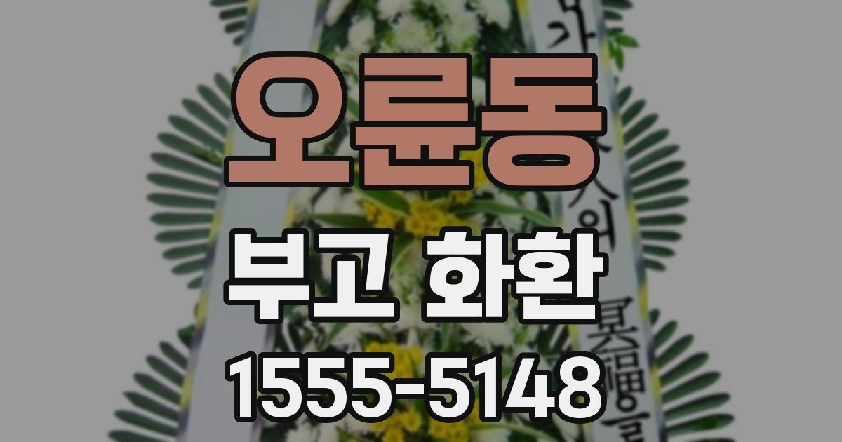 오륜동 부고 화환