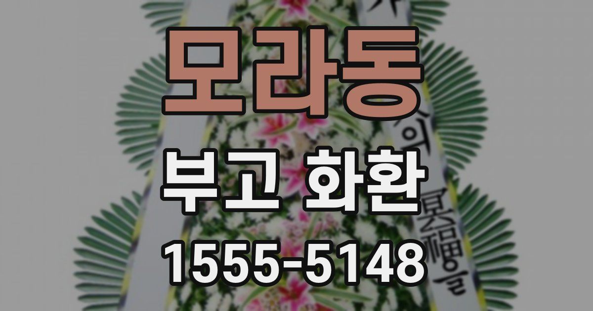 모라동 부고 화환