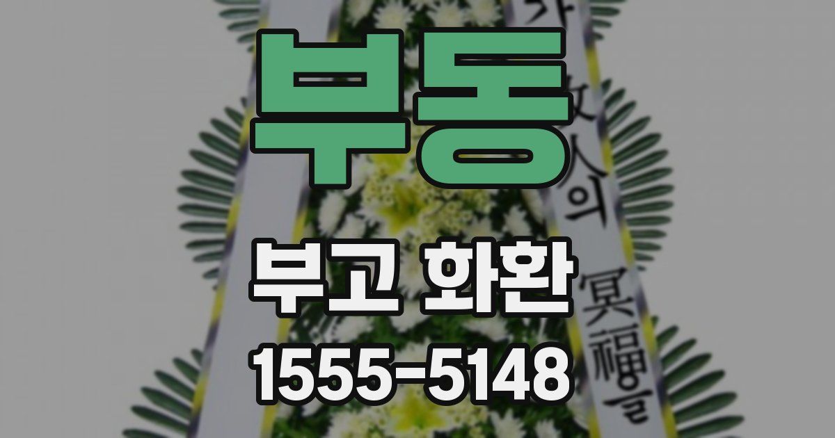 부동 부고 화환