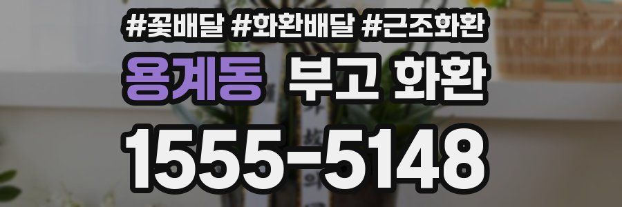 용계동 부고 화환