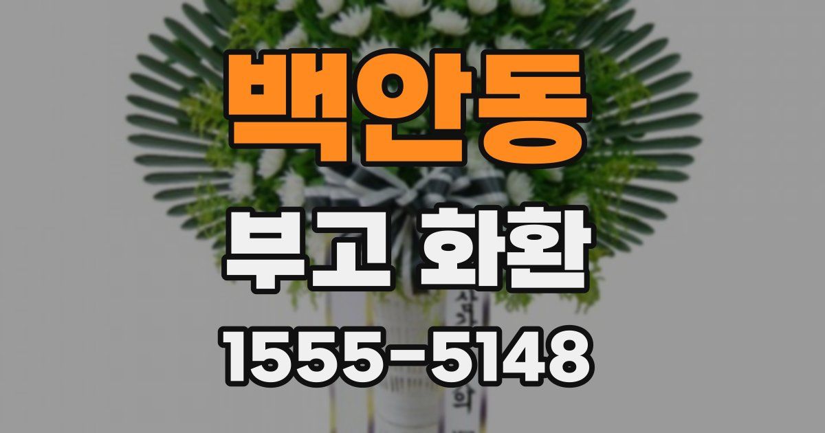 백안동 부고 화환