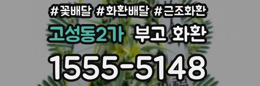 고성동2가 부고 화환