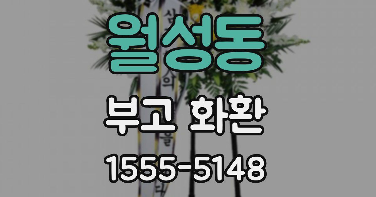 월성동 부고 화환