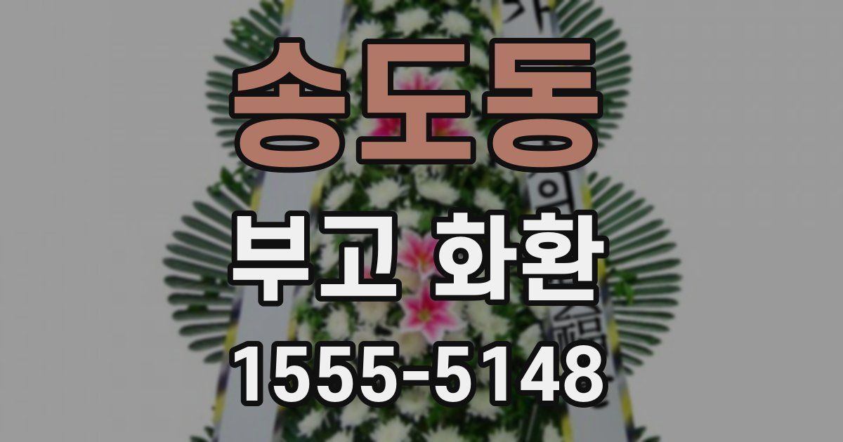 송도동 부고 화환