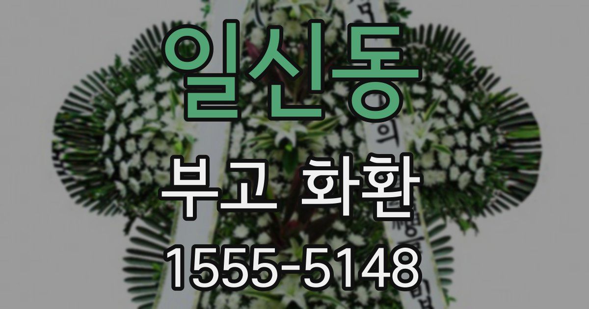 일신동 부고 화환