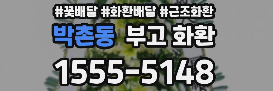 박촌동 부고 화환