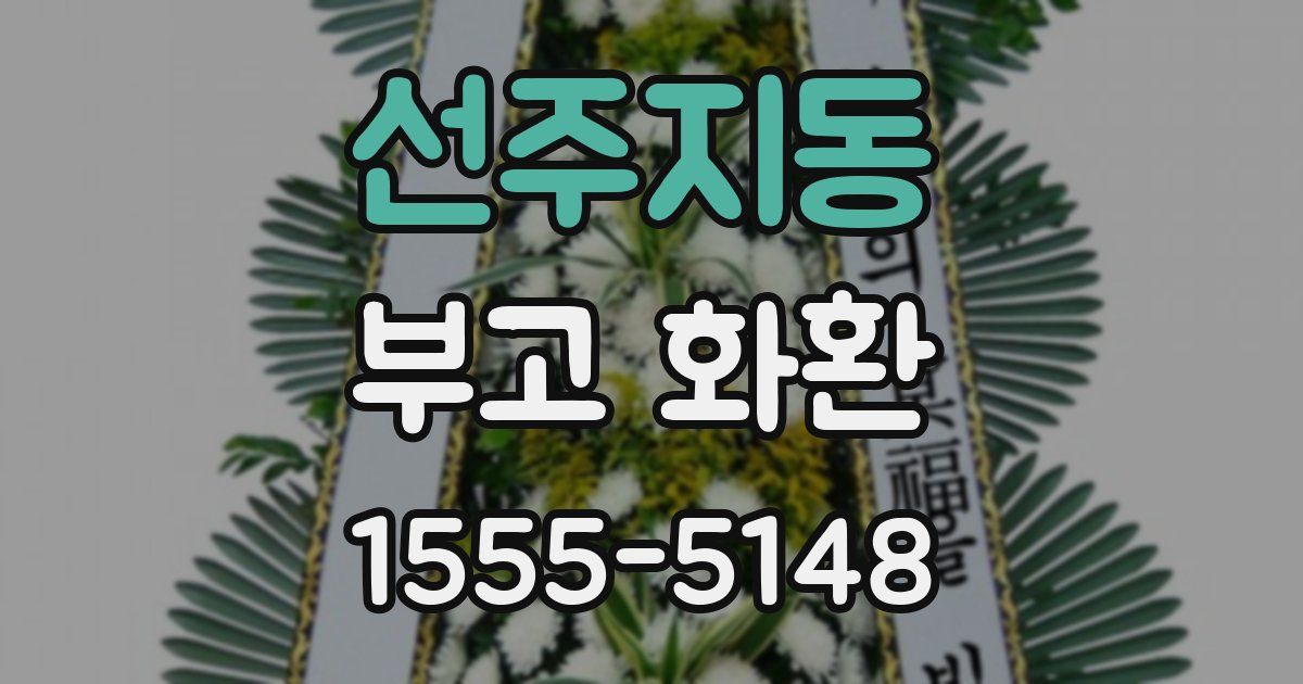 선주지동 부고 화환