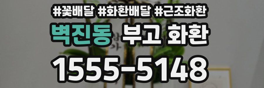 벽진동 부고 화환