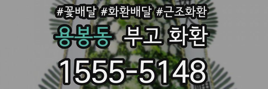 용봉동 부고 화환