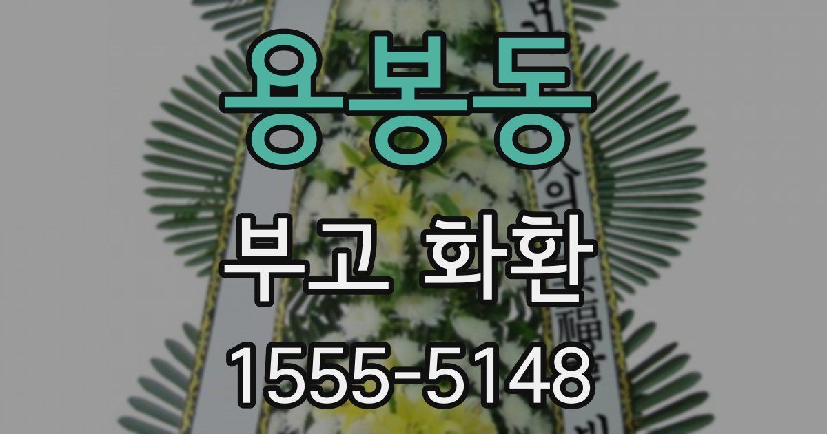 용봉동 부고 화환