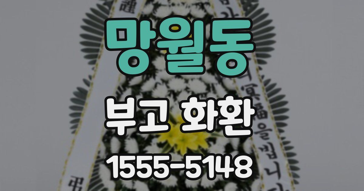 망월동 부고 화환