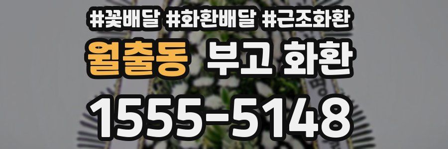 월출동 부고 화환