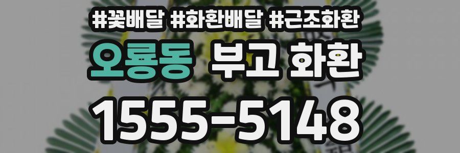 오룡동 부고 화환