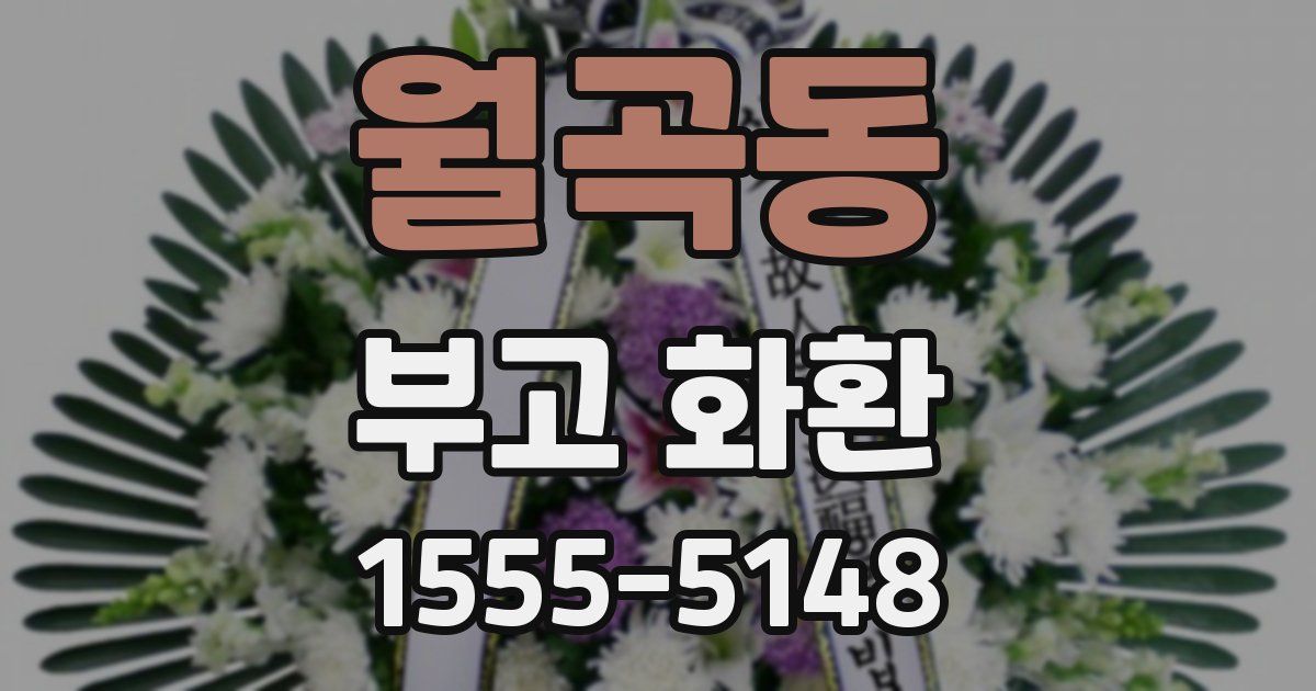 월곡동 부고 화환