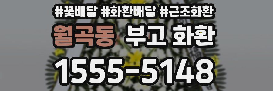 월곡동 부고 화환