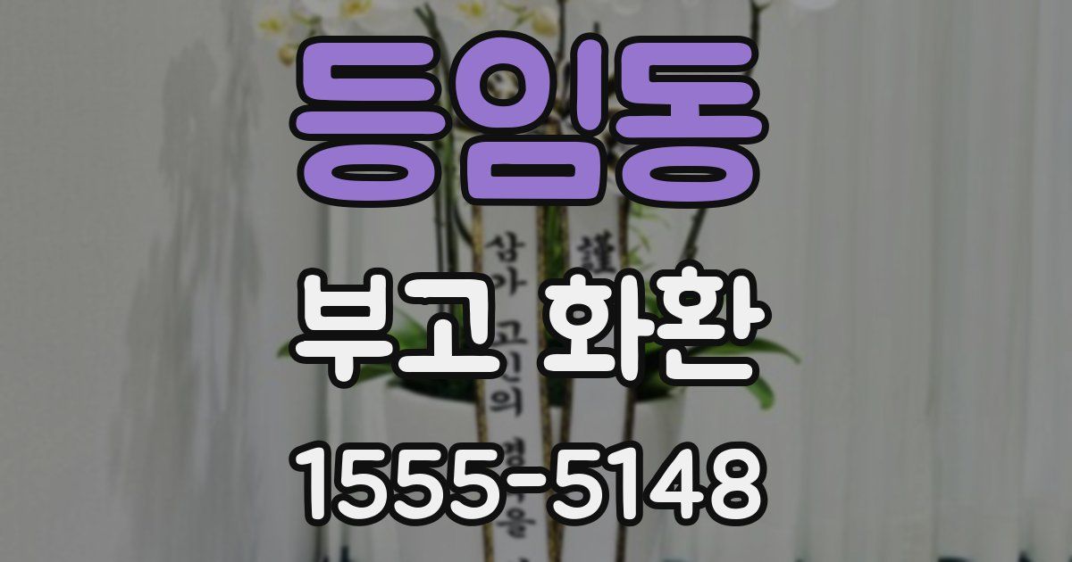 등임동 부고 화환
