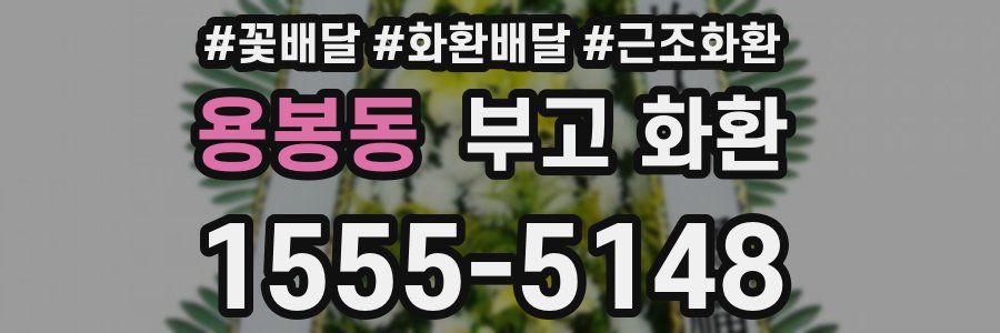 용봉동 부고 화환