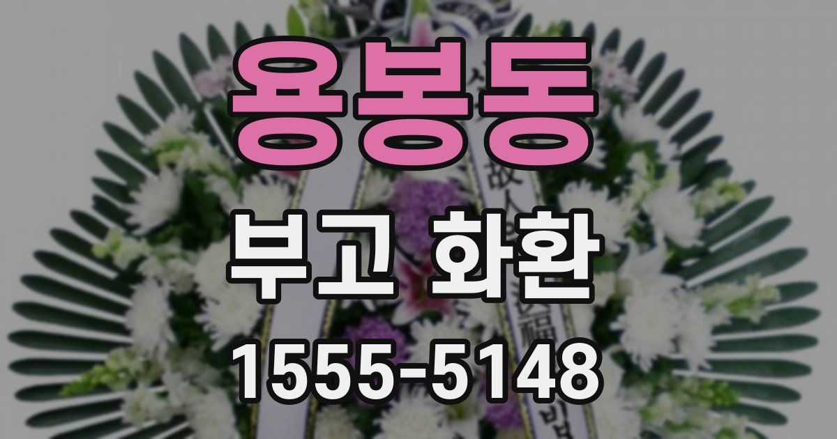 용봉동 부고 화환