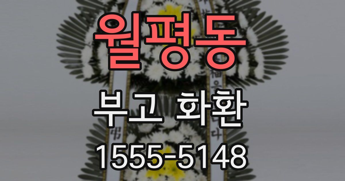 월평동 부고 화환
