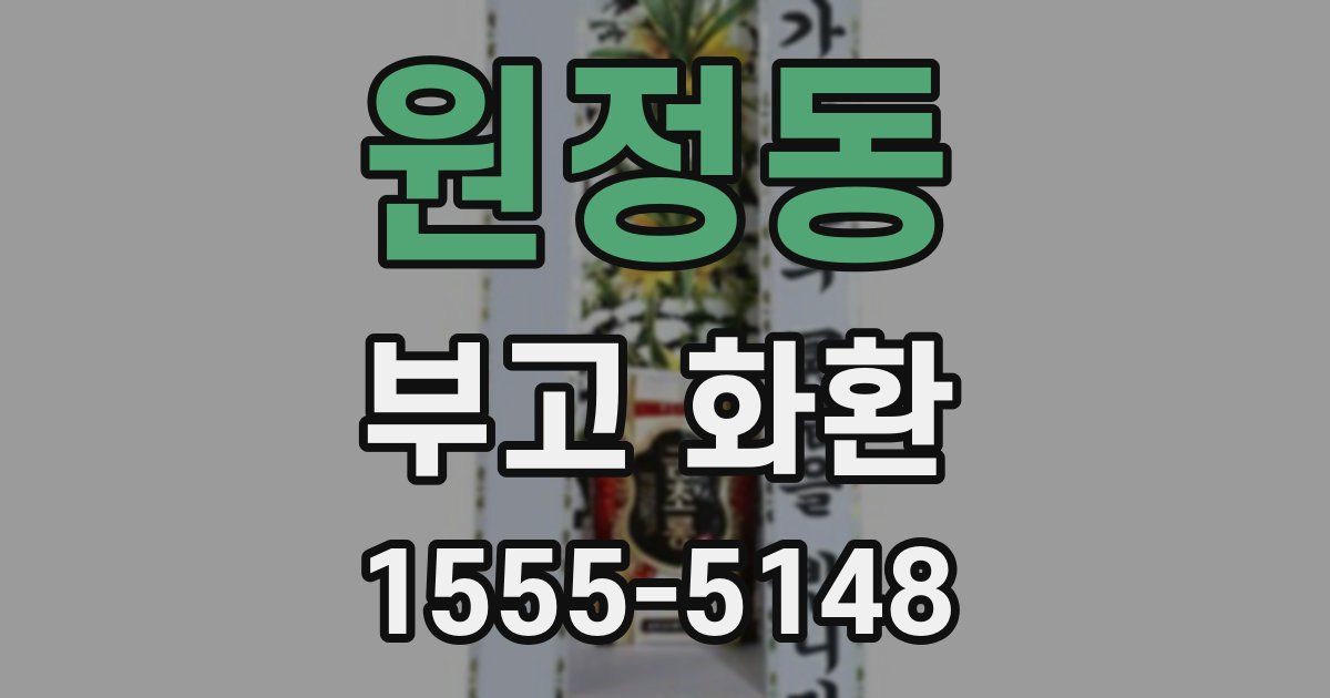 원정동 부고 화환
