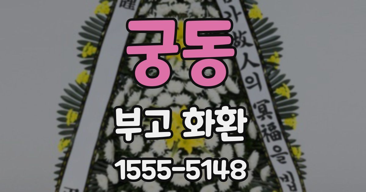 궁동 부고 화환
