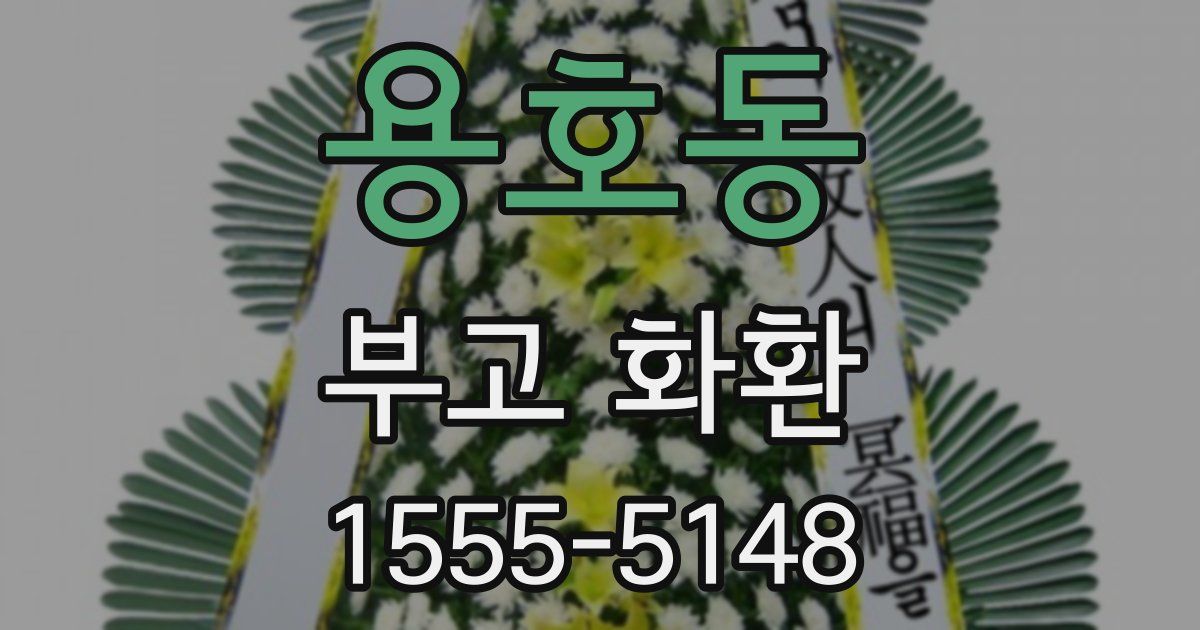 용호동 부고 화환