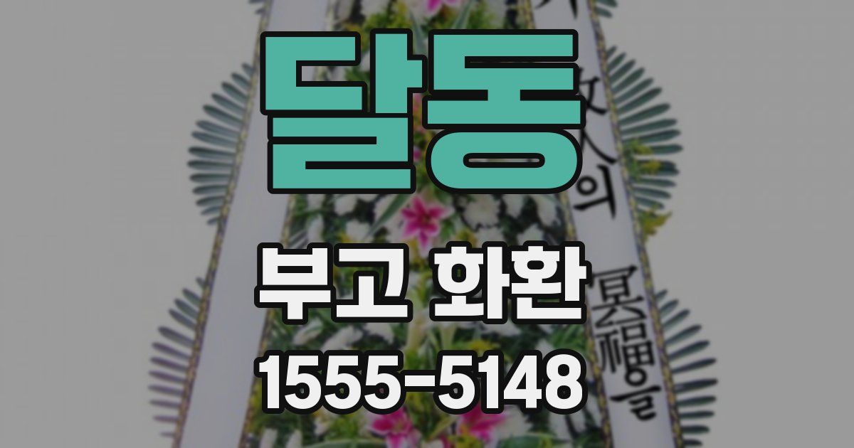 달동 부고 화환