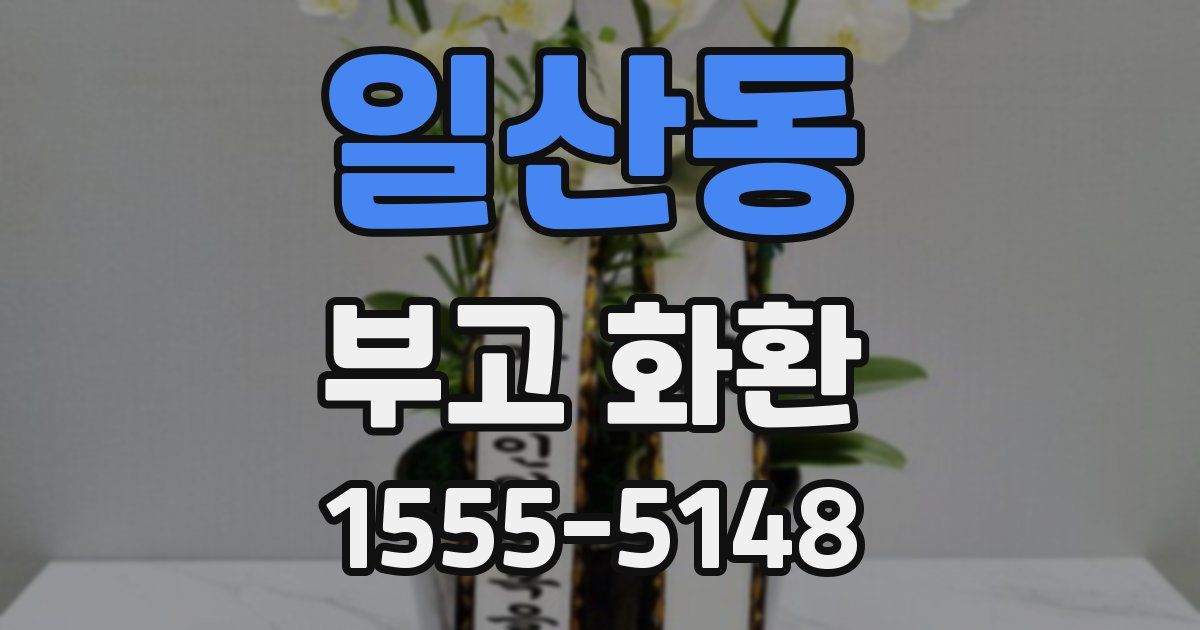 일산동 부고 화환