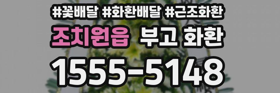 조치원읍 부고 화환
