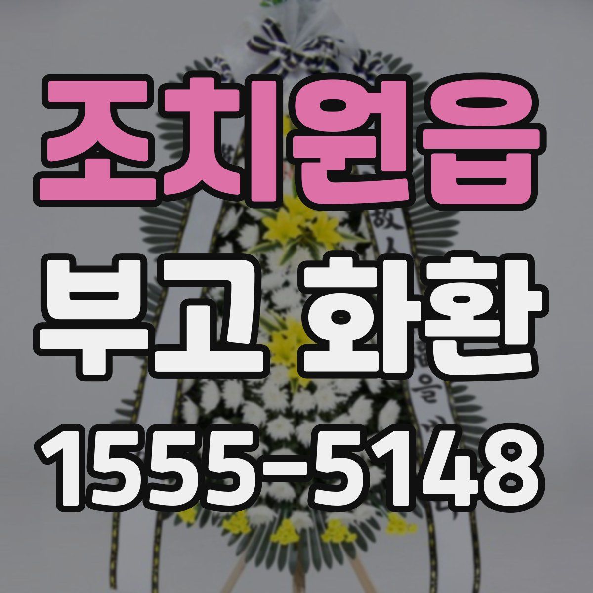 조치원읍 부고 화환