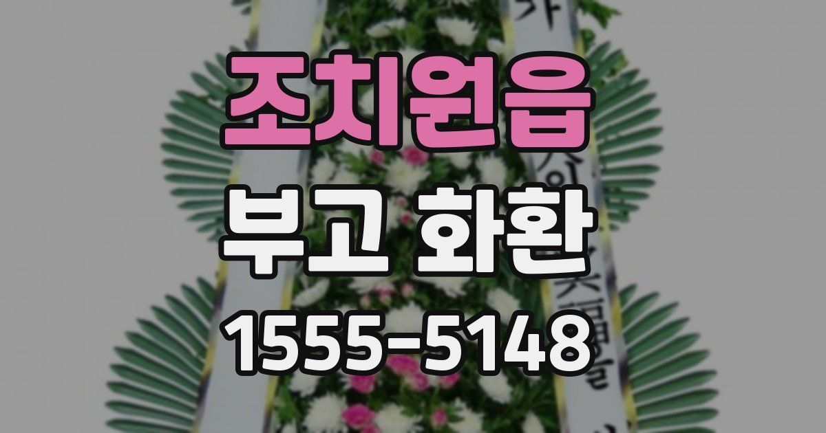 조치원읍 부고 화환