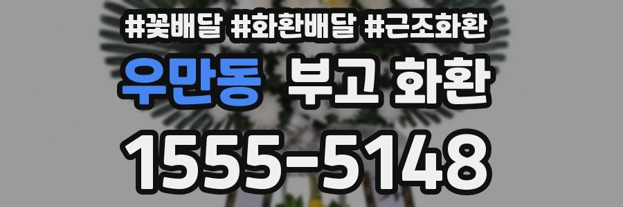 우만동 부고 화환