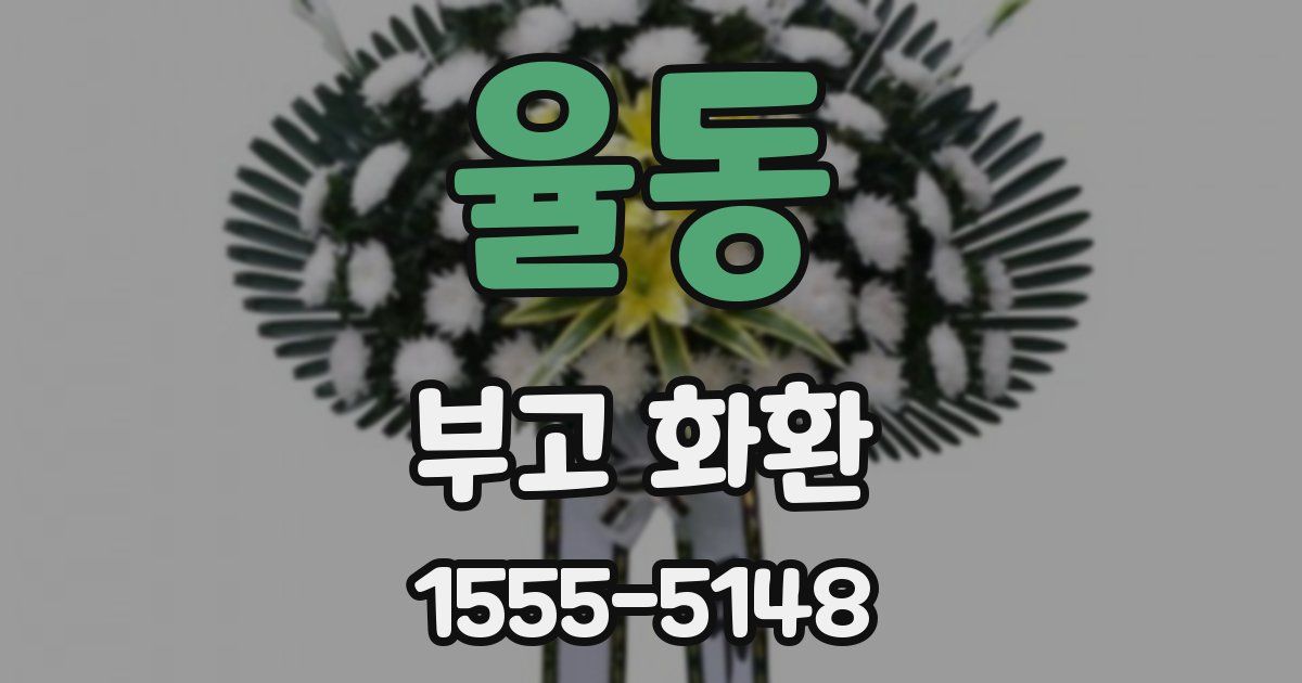 율동 부고 화환