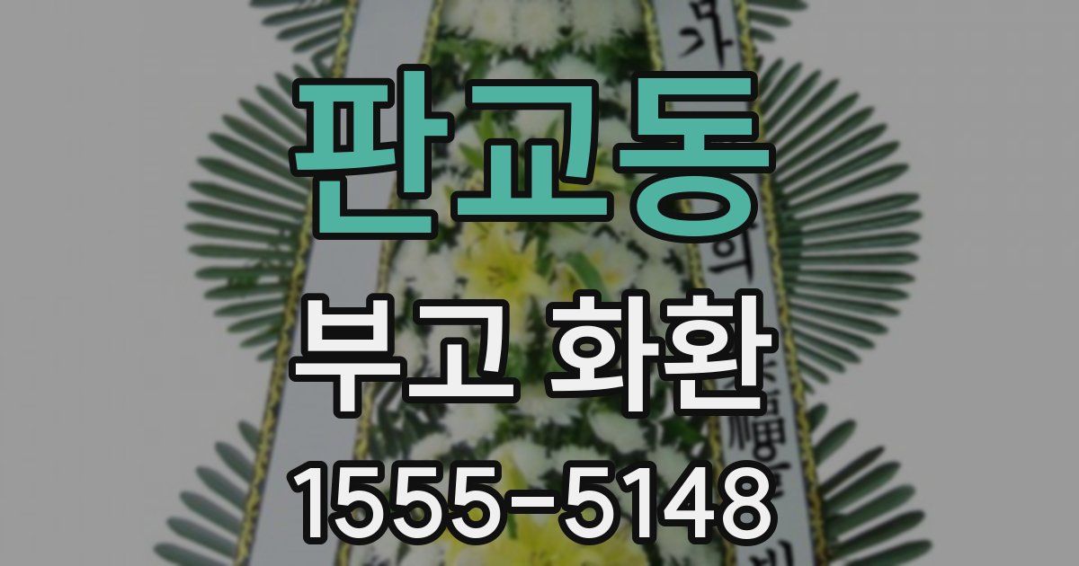 판교동 부고 화환