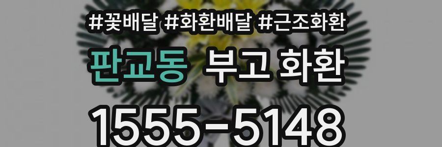 판교동 부고 화환