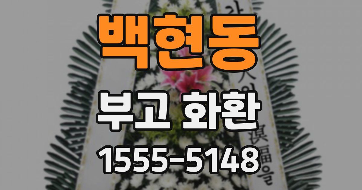 백현동 부고 화환