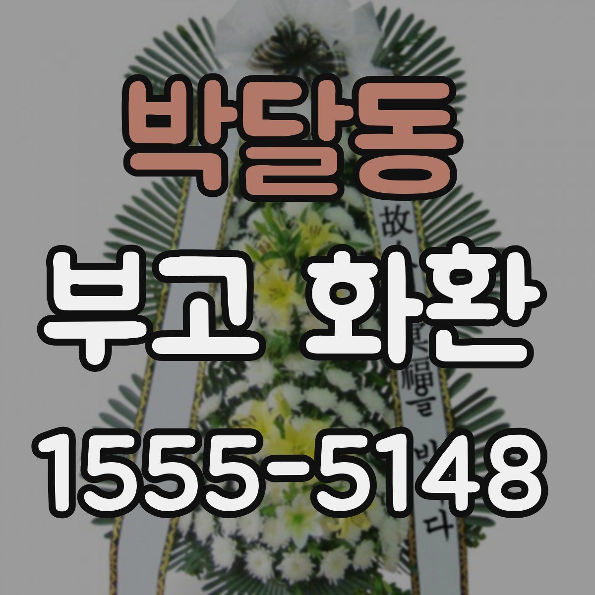 박달동 부고 화환