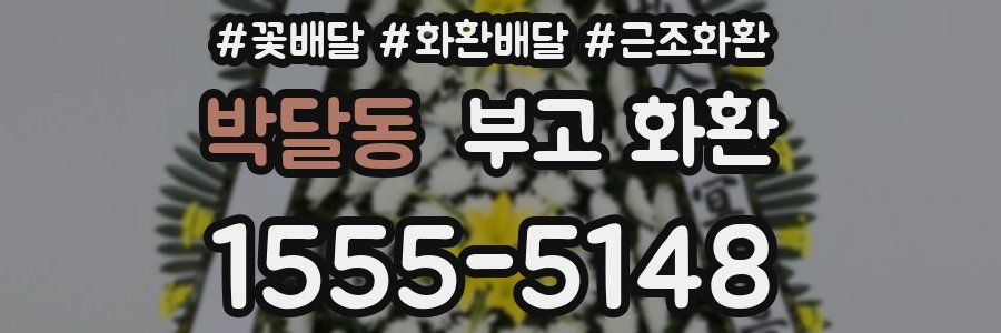 박달동 부고 화환